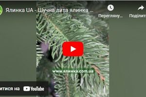 Відеоогляд литої ялинки Ковалівська зелена фото